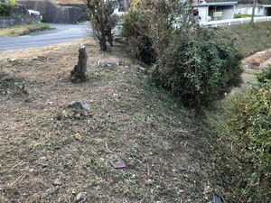 今年最後の草刈り