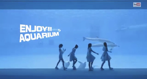 名古屋港水族館 CM