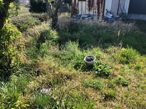 駐車場&土手の草刈