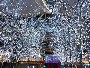 おっさん東京ぶらり旅 2019《9》
