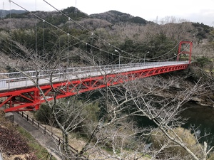 開花スタンバイ
