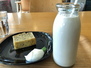 のき山学校『カフェのっきい』
