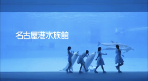 名古屋港水族館×TEAM SHACHI