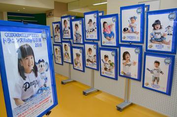 第1回「ドラゴンズBaby写真展2016」を開催します（ドラゴンズＦＢ情報・5/2）