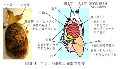 脱線倶楽部 12年06月12日