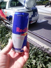 Ｒｅｄ  Ｂｕｌｌ
