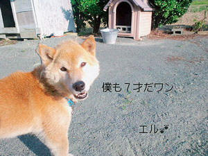 emit:と同い年