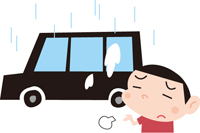 雨と鳥の糞