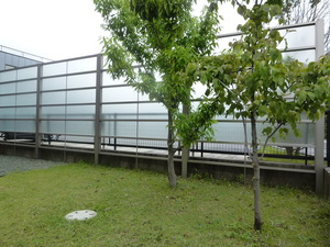 豊橋市S様邸
