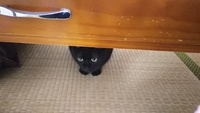 なんかいる！？