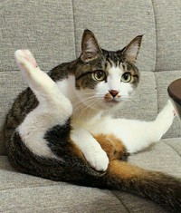 我が家の癒し♡てっちゃんです！