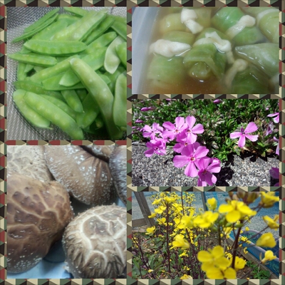 春野菜。