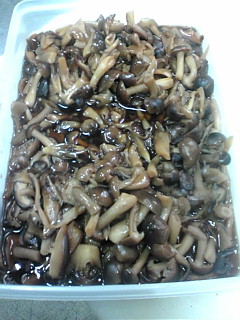 キノコ佃煮♪