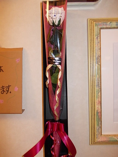 何度見ても・・・