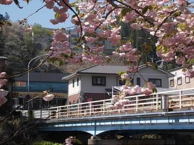 快晴の桜☆