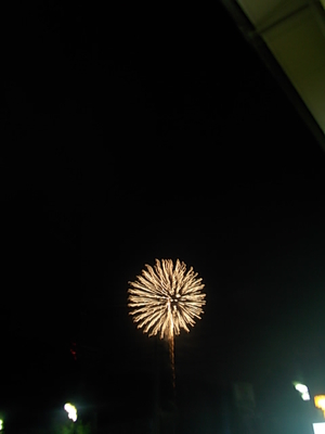 今年最後の花火