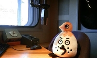 明日はミニ