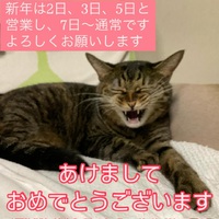 あけましておめでとうございます❣️・・♪》