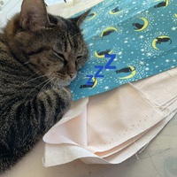 猫店長キュー❣️・・♪》