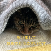 今年もよろしくお願い致します！・・♪》