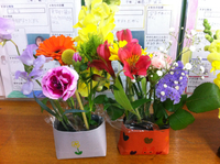 羽根井小学校土曜広場
