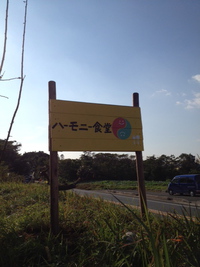 11月のお知らせ