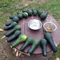 大豊作っ！