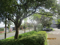 トラック故障 　レッカー牽引 国境 Kingsgate Border 　北米トラック