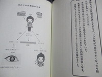 長寿と 副腎 の密接な関係　まーてる先生