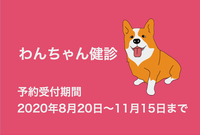 ハートのなかみ 動物病院日誌 最小のハヤブサはかわいいですよ