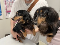 ゆいちゃんんとめいちゃん