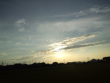 更新
