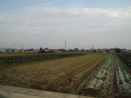 11月2日の記事