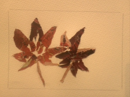 momiji