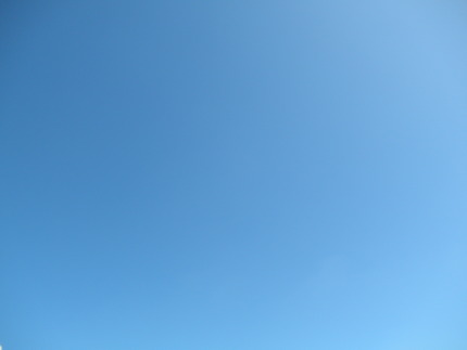6月14日の記事
