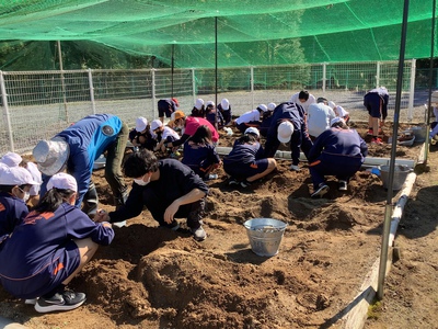 大地の恵み