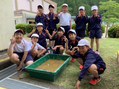 校内で田植え