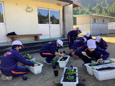 花の寄せ植え