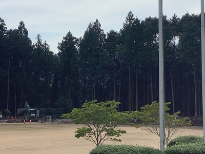とてもスッキリしました