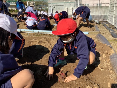 大地の恵み