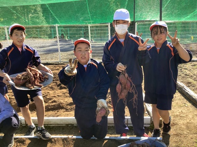 大地の恵み