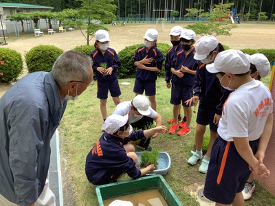 校内で田植え