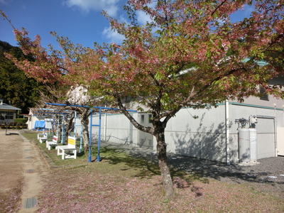 学校の景色