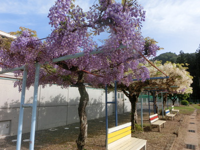 もうすぐ5月