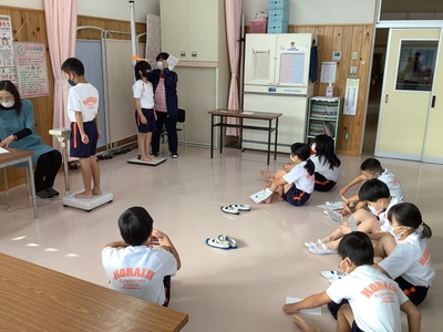 大きくなりました