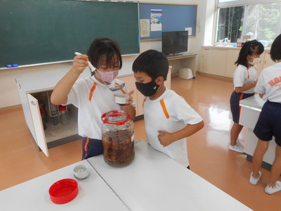大豆＆梅