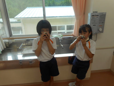 大豆＆梅