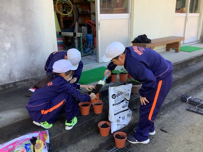 花の寄せ植え