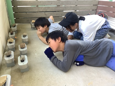 夕食準備中3