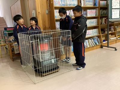 人気者